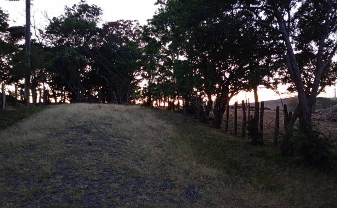 Farm/Ranch for Sale Calle 4. Photo#7 Farm/Ranch for Sale Calle 4. Photo#7