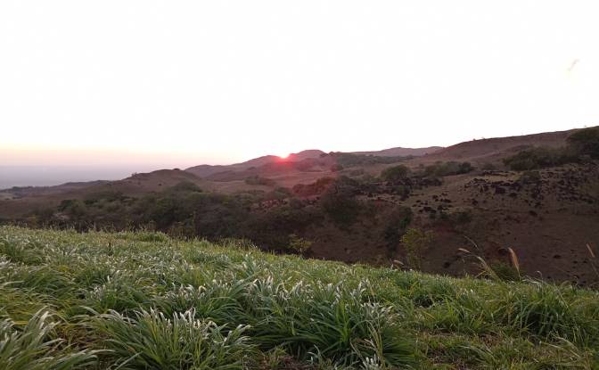 Farm/Ranch for Sale Calle 4. Photo#8 Farm/Ranch for Sale Calle 4. Photo#8