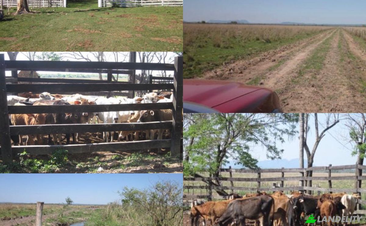 Investing/Development for Sale Via Sin Nombre, 091515, Nandua, Yaguaron, Paraguari Department, Paraguay. Photo 2