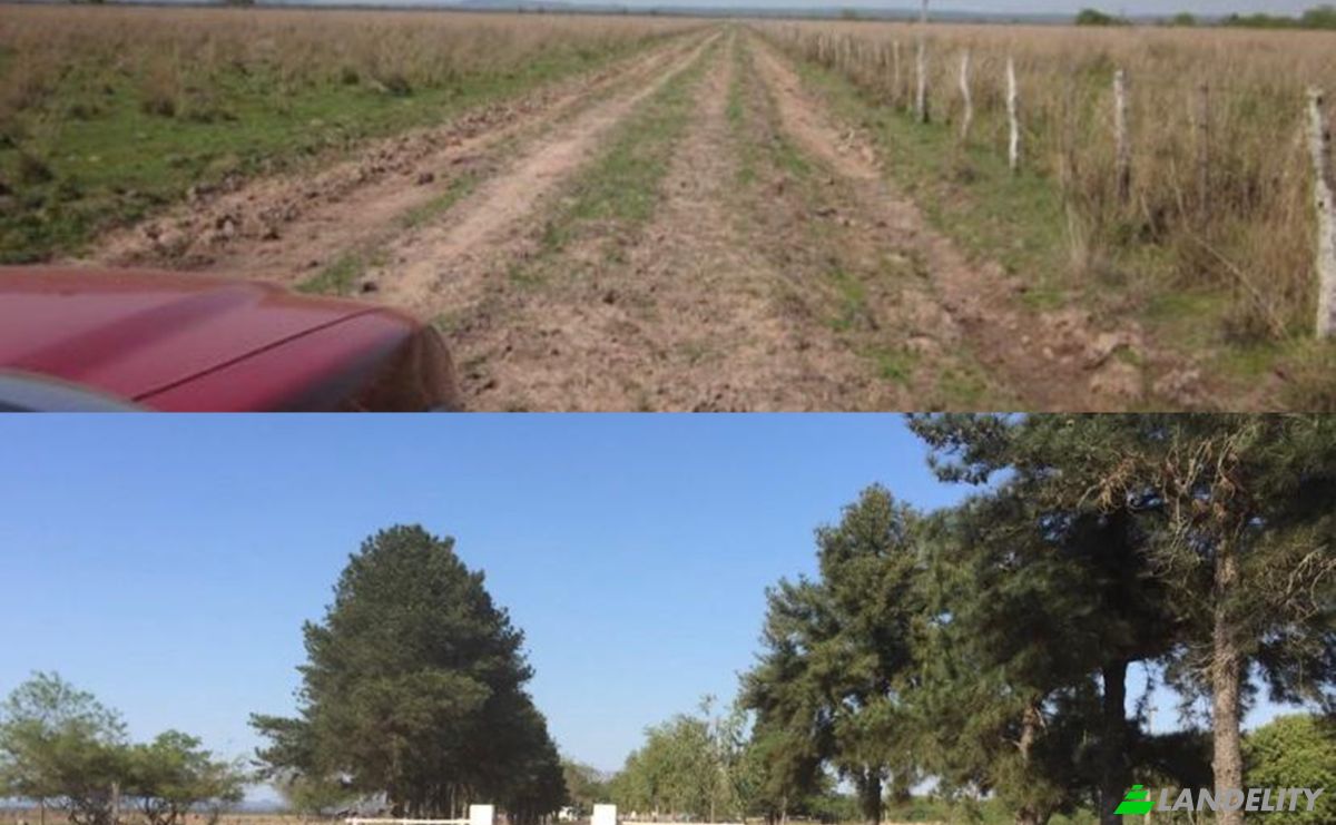 Investing/Development for Sale Via Sin Nombre, 091515, Nandua, Yaguaron, Paraguari Department, Paraguay. Photo 6