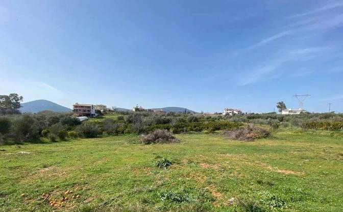 Land Lot for Sale Nafplion 211 00, Nafplion. Photo#4 Land Lot for Sale Nafplion 211 00, Nafplion. Photo#4