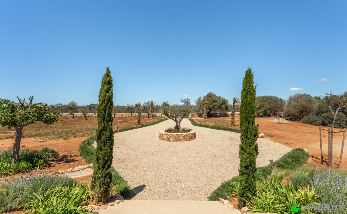 Mansion for Sale Diseminado Son Llado, Campos, Illes Balears, Balearic Islands, Spain. Photo 20