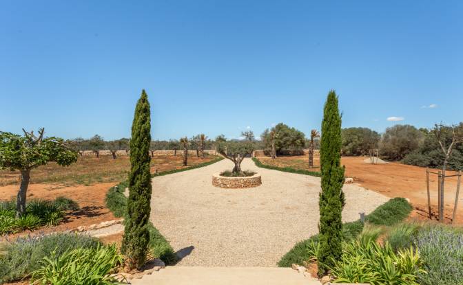 Mansion for Sale Diseminado Son Llado, Campos. Photo#20