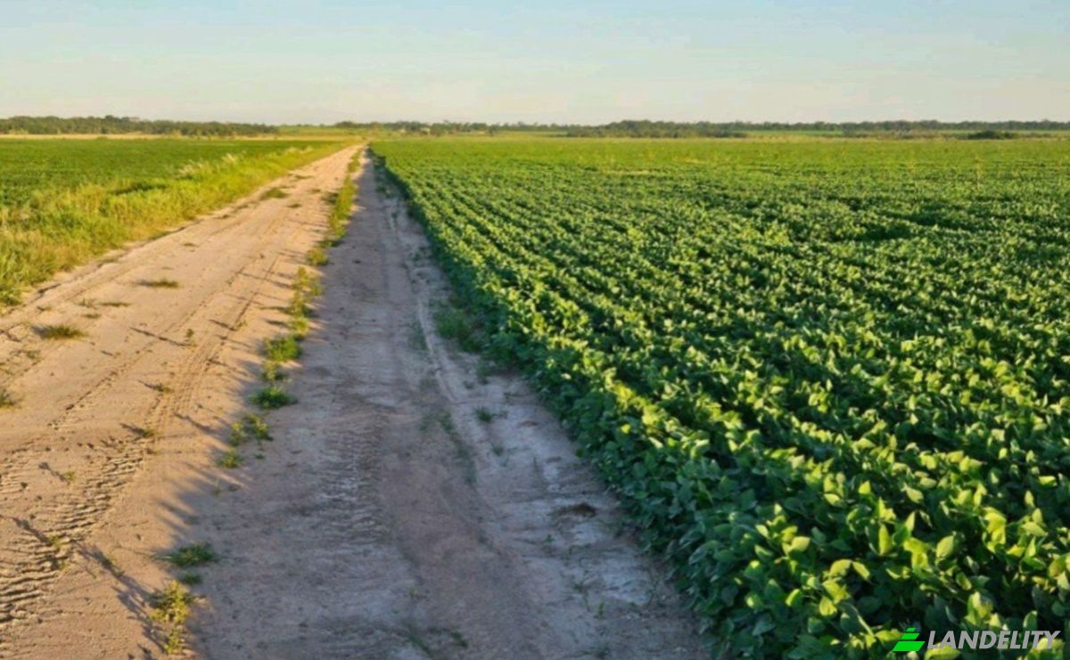 Investing/Development for Sale Via Sin Nombre, 021904, Com Indig y Apy Arroyo Kora, Yrybucua, San Pedro Department, Paraguay. Photo 6