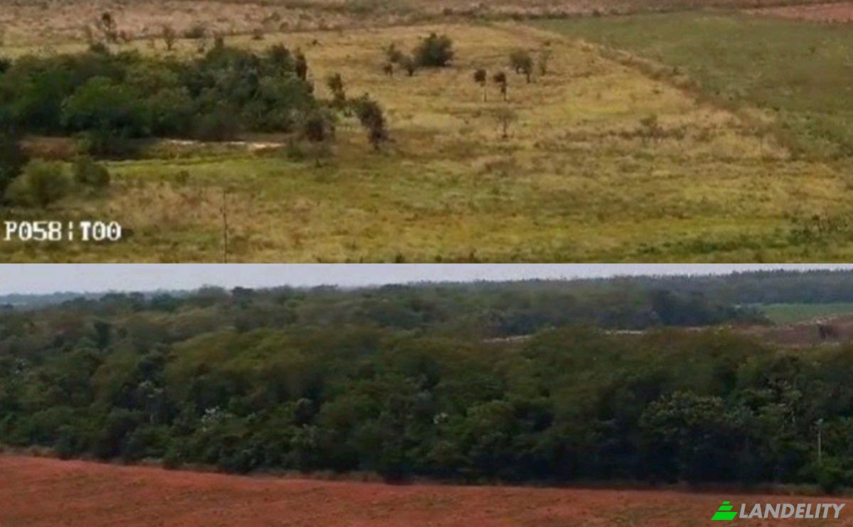 Investing/Development for Sale Via Sin Nombre, 021904, Com Indig y Apy Arroyo Kora, Yrybucua, San Pedro Department, Paraguay. Photo 4