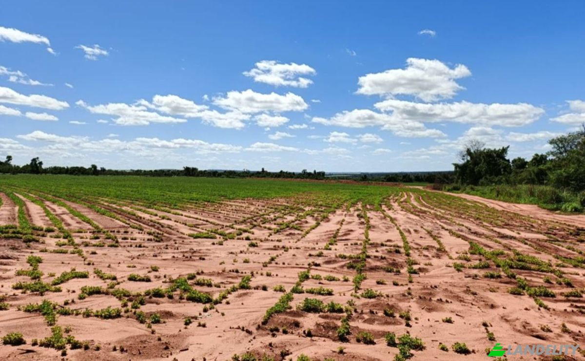 Investing/Development for Sale Via Sin Nombre, Laguna Vera 051115, Laguna Vera, Yhu, Caaguazu Department, Paraguay. Photo 2