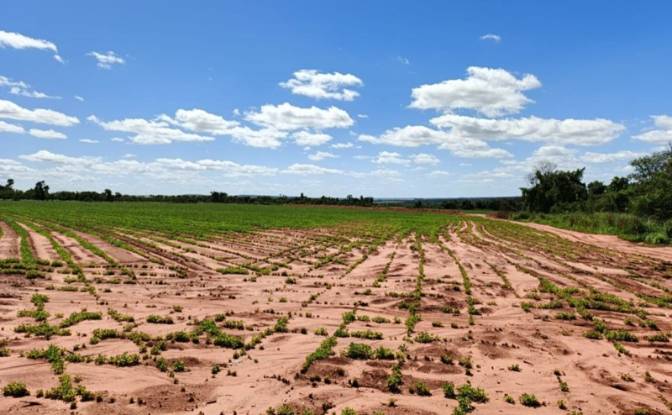 Investing/Development for Sale Via Sin Nombre. Photo#2