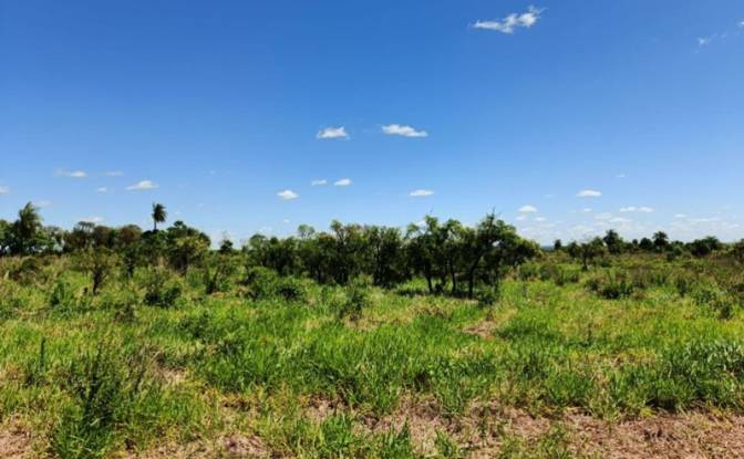 Investing/Development for Sale Via Sin Nombre. Photo#3