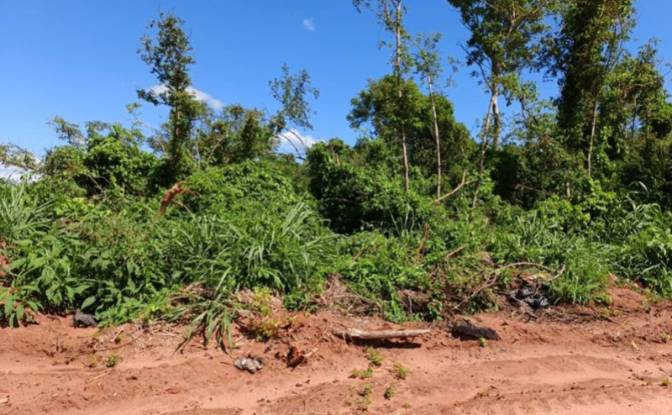 Investing/Development for Sale Via Sin Nombre. Photo#4