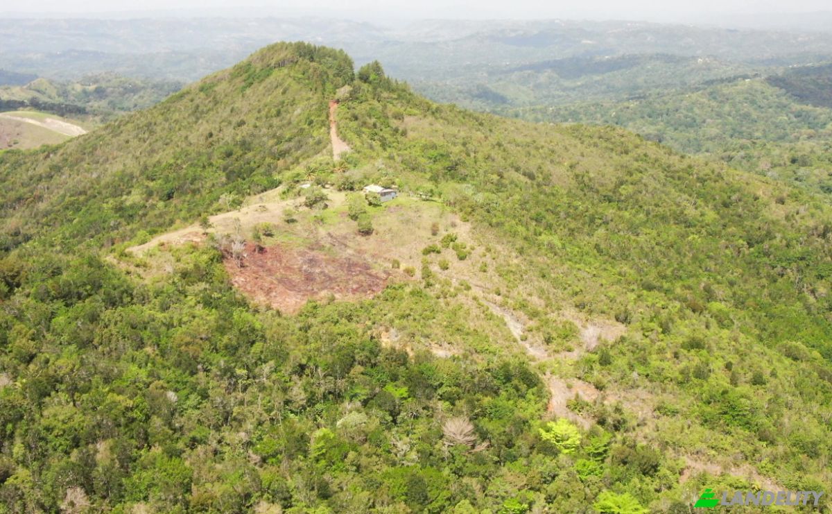 Działka na sprzedaż C Rancho Monte De Sion, 56000, Villa Magante, Gaspar Hernandez, Espaillat Province, Dominican Republic. Zdjęcie 12