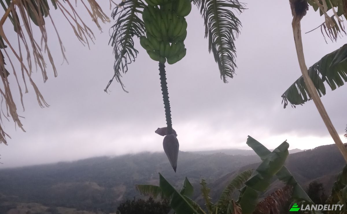 Działka na sprzedaż C Rancho Monte De Sion, 56000, Villa Magante, Gaspar Hernandez, Espaillat Province, Dominican Republic. Zdjęcie 4