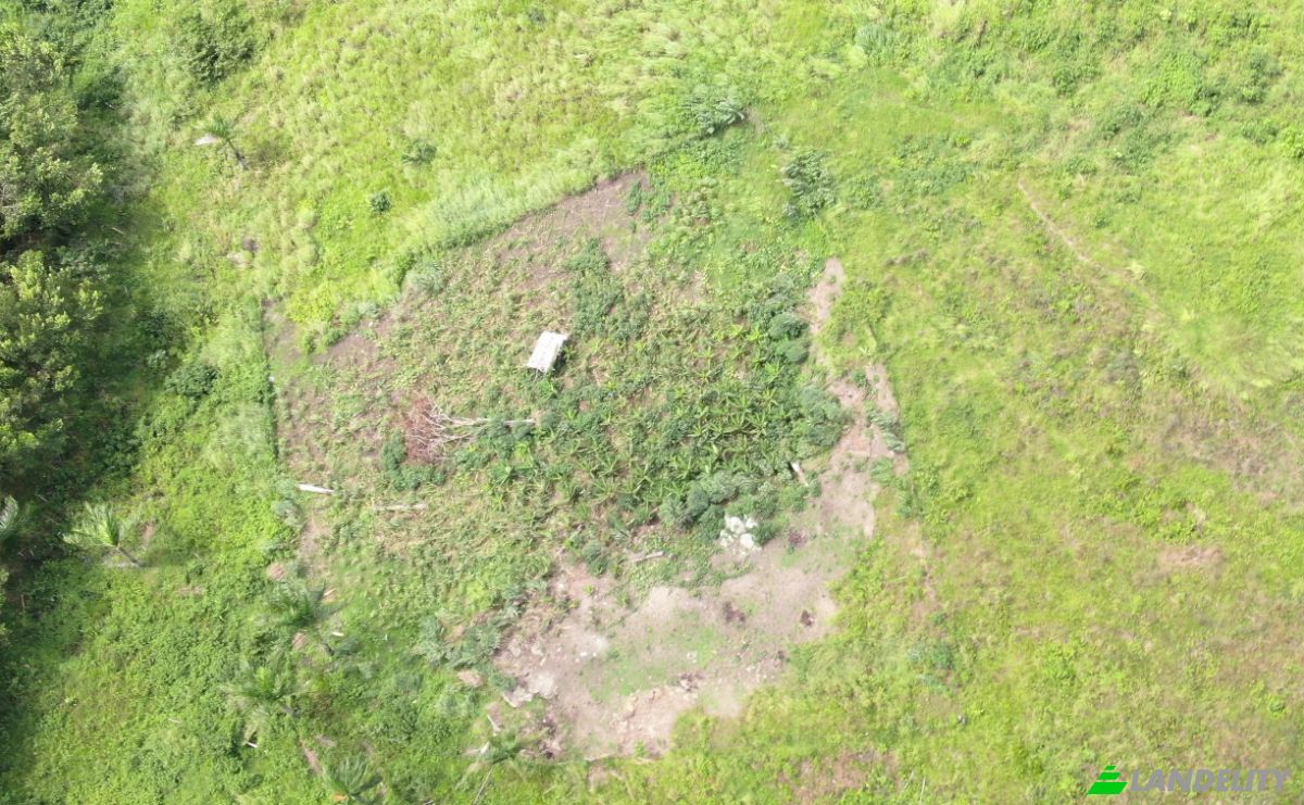 Działka na sprzedaż C Rancho Monte De Sion, 56000, Villa Magante, Gaspar Hernandez, Espaillat Province, Dominican Republic. Zdjęcie 6