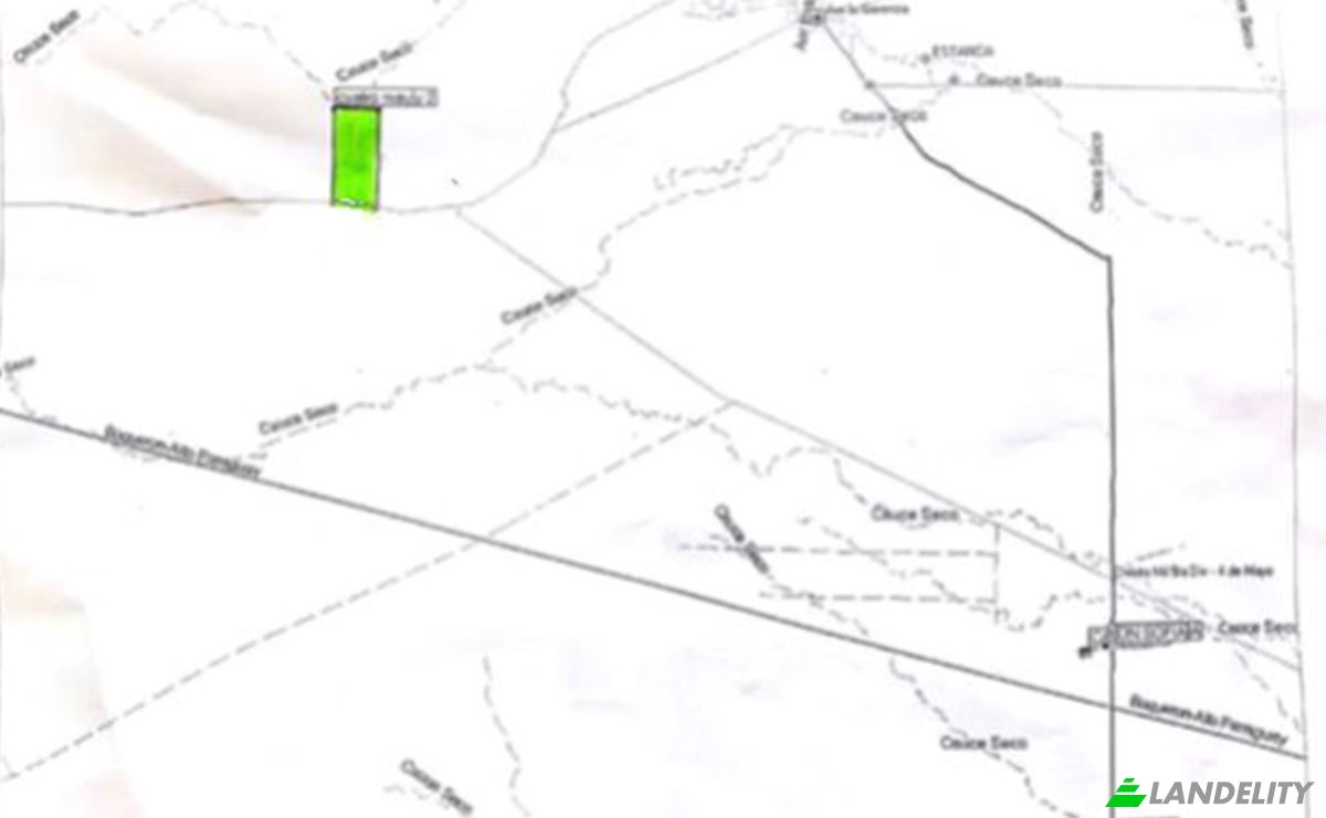 Investing/Development for Sale Zona Agua Dulce, 170403, Pozo de Buey, Bahia Negra, Alto Paraguay Department, Paraguay. Photo 2