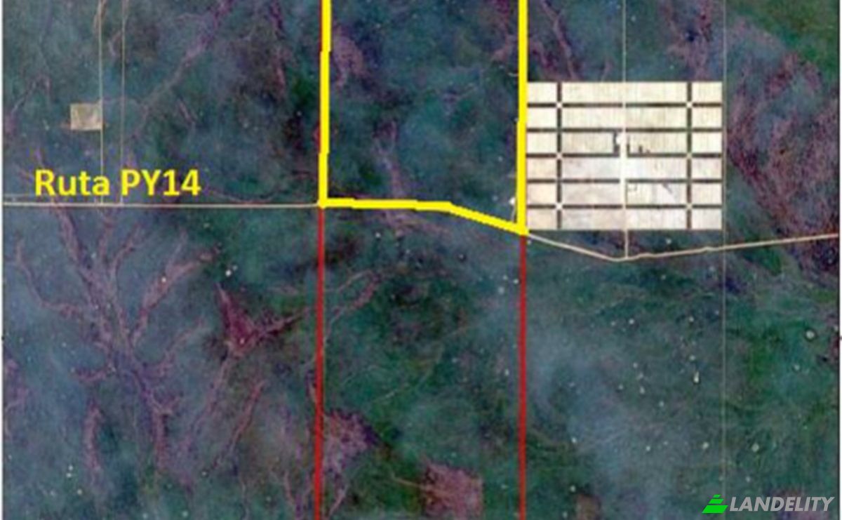 Investing/Development for Sale Zona Agua Dulce, 170403, Pozo de Buey, Bahia Negra, Alto Paraguay Department, Paraguay. Photo 4
