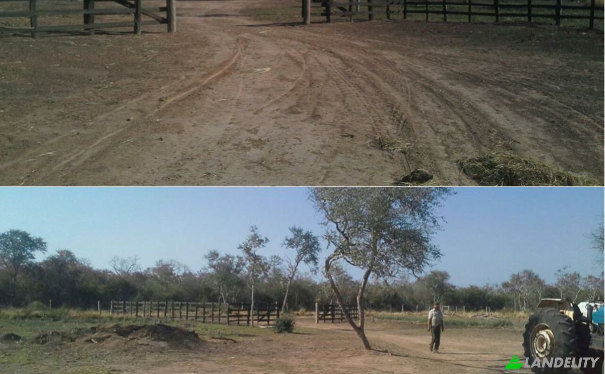 Investing/Development for Sale Zona Agua Dulce, 170403, Pozo de Buey, Bahia Negra, Alto Paraguay Department, Paraguay. Photo 5