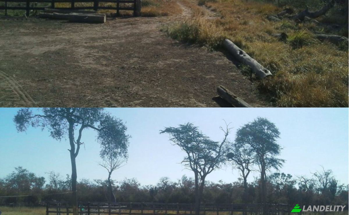Investing/Development for Sale Zona Agua Dulce, 170403, Pozo de Buey, Bahia Negra, Alto Paraguay Department, Paraguay. Photo 6
