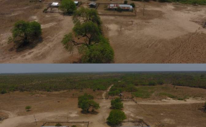 Investing/Development for Sale Zona Ceibo, 150305. Photo#2