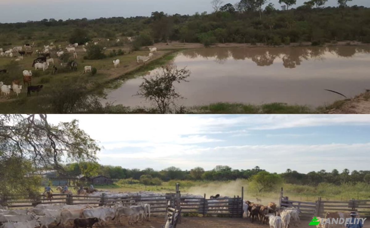 Investing/Development for Sale Zona Ceibo, 150305, Com Indig Riacho San Carlos-Mbokajaty, Puerto Pinasco, Presidente Hayes Department, Paraguay. Photo 5