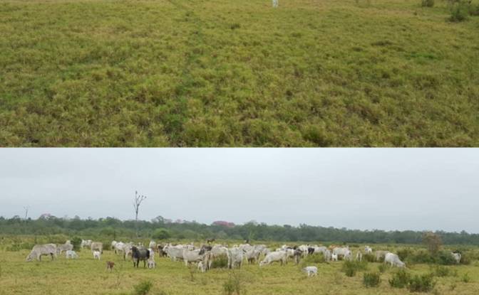 Investing/Development for Sale Zona Ceibo, 150305. Photo#6