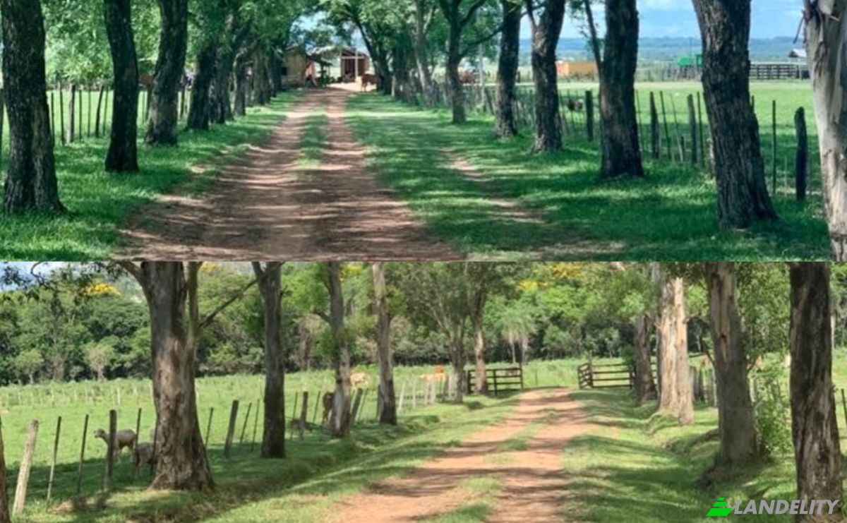 Investing/Development for Sale Via Sin Nombre, 080404, Isla Tacuara, San Miguel, Misiones Department, Paraguay. Photo 3