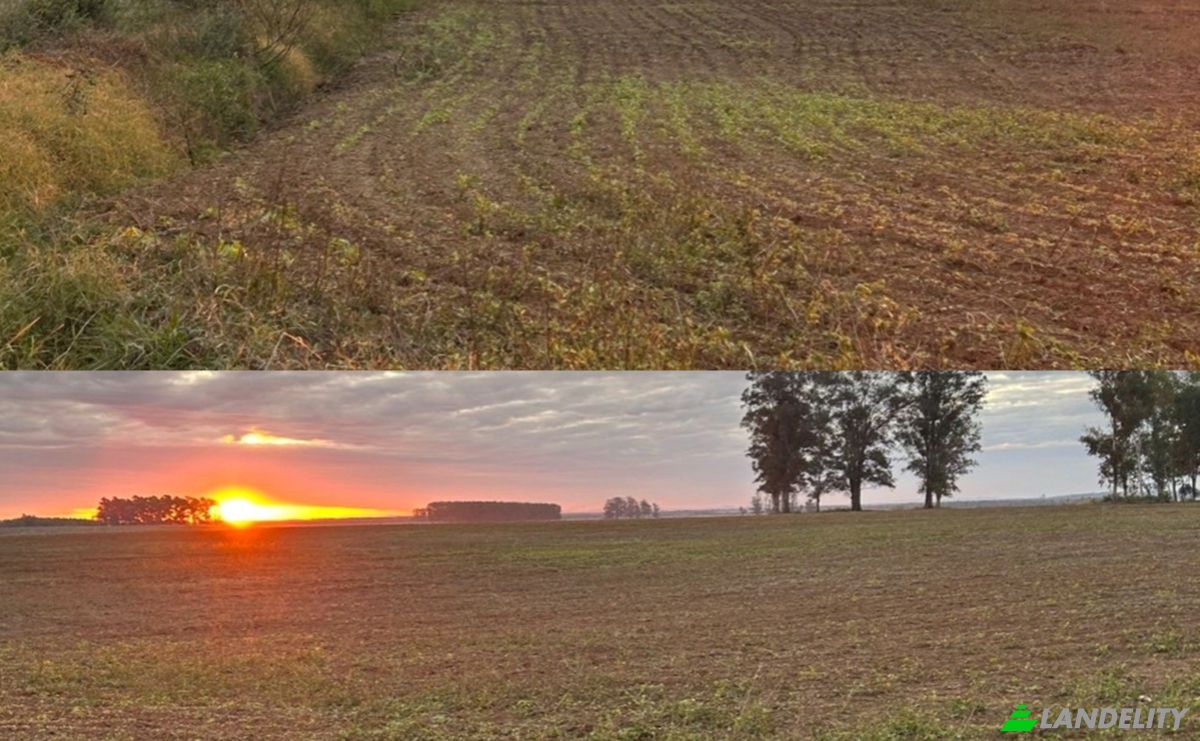 Investing/Development for Sale Via Sin Nombre, 080404, Isla Tacuara, San Miguel, Misiones Department, Paraguay. Photo 5