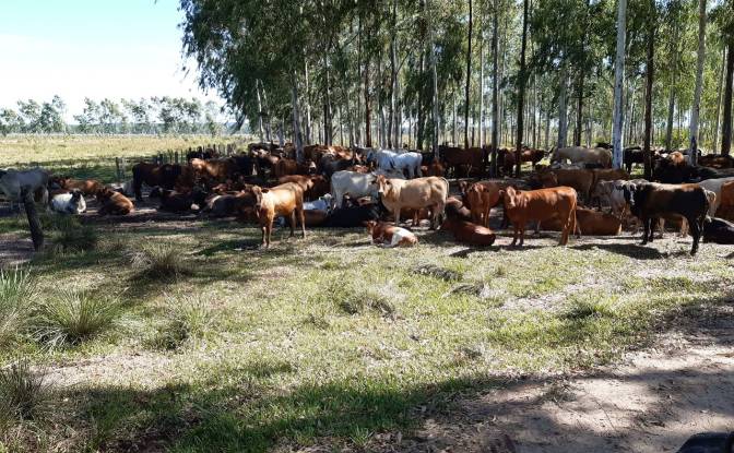Investing/Development for Sale Via, 070204. Photo#19 Investing/Development for Sale Via, 070204. Photo#19