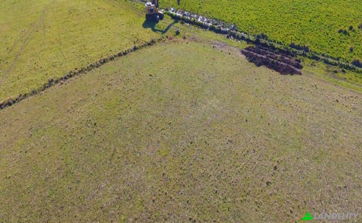 Investing/Development for Sale Via, 070204, Maria Auxiliadora Sub Urbano, Bella Vista, Itapua Department, Paraguay. Photo 3
