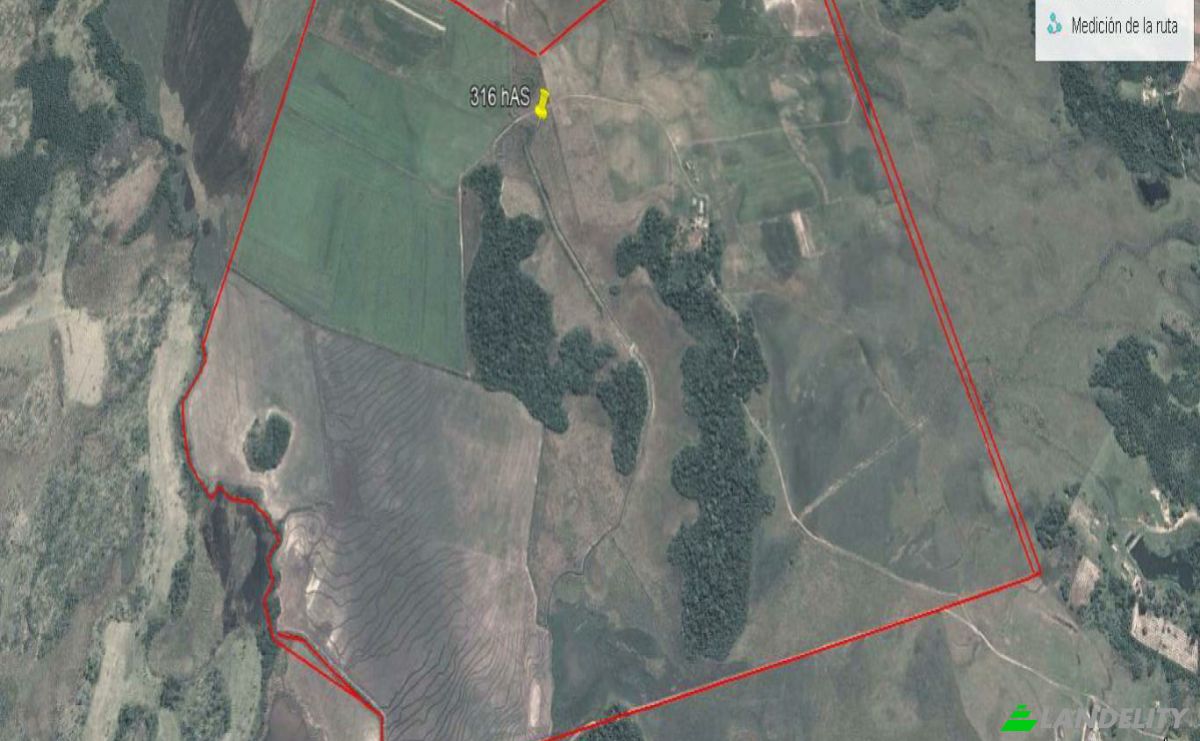 Investing/Development for Sale Via, 070204, Maria Auxiliadora Sub Urbano, Bella Vista, Itapua Department, Paraguay. Photo 6