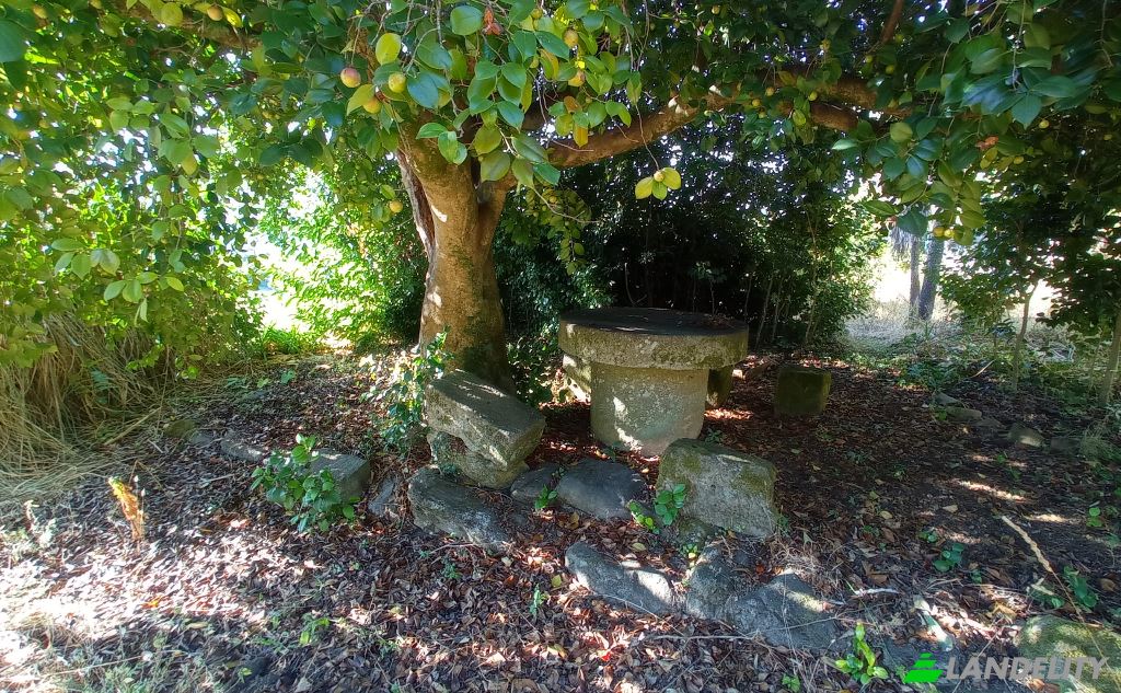 Single Family Home for Sale Do Eiro, Sao Pedro do Sul, Viseu District, Portugal. Photo 11