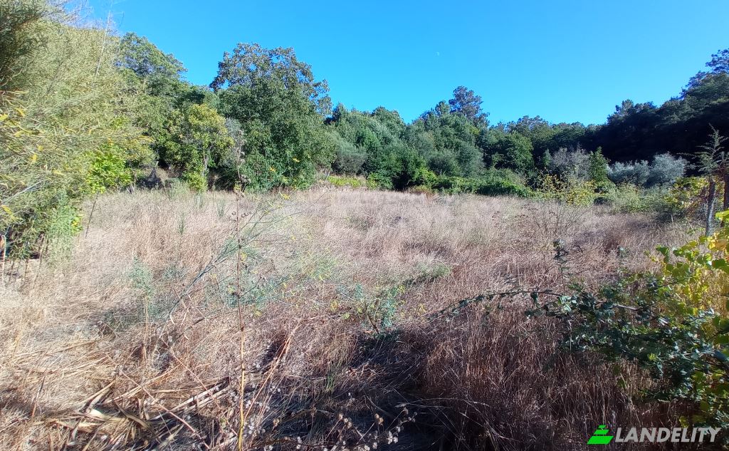 Single Family Home for Sale Do Eiro, Sao Pedro do Sul, Viseu District, Portugal. Photo 12