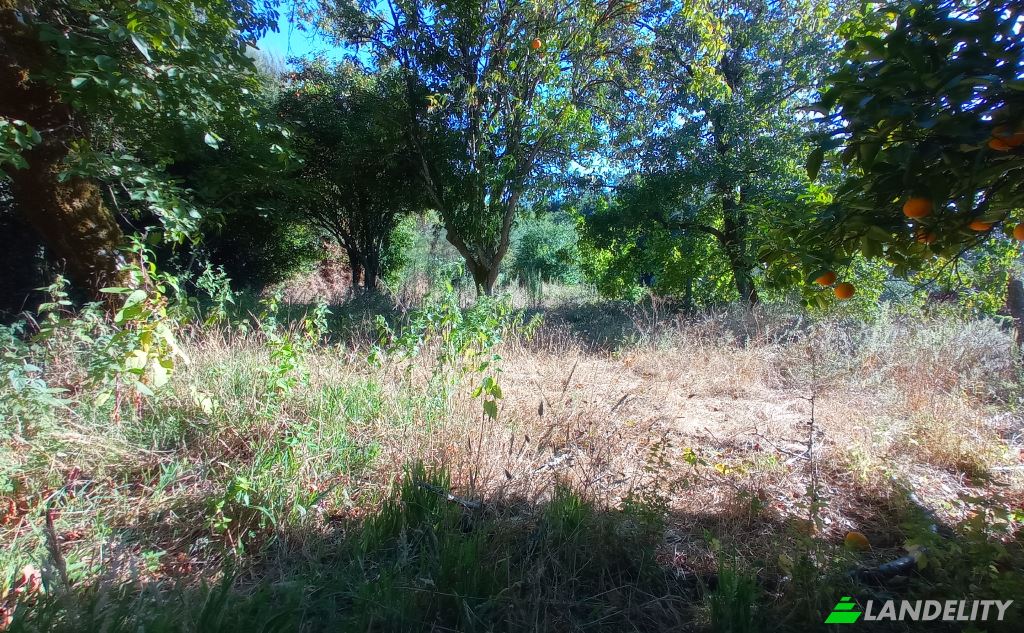 Single Family Home for Sale Do Eiro, Sao Pedro do Sul, Viseu District, Portugal. Photo 15