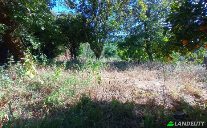 Single Family Home for Sale Do Eiro. Photo#15 Single Family Home for Sale Do Eiro. Photo#15