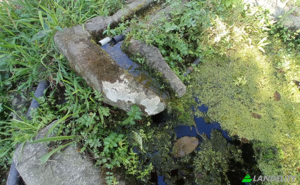 Single Family Home for Sale Do Eiro, Sao Pedro do Sul, Viseu District, Portugal. Photo 16