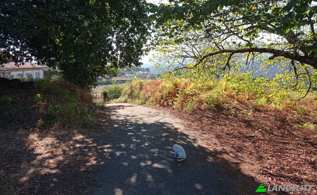 Single Family Home for Sale Do Eiro, Sao Pedro do Sul, Viseu District, Portugal. Photo 2