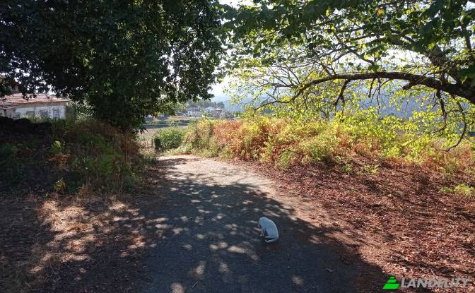 Single Family Home for Sale Do Eiro. Photo#2 Single Family Home for Sale Do Eiro. Photo#2