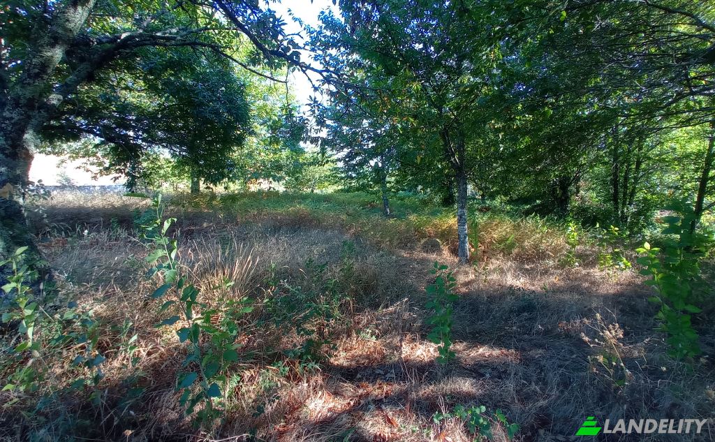 Single Family Home for Sale Do Eiro, Sao Pedro do Sul, Viseu District, Portugal. Photo 5