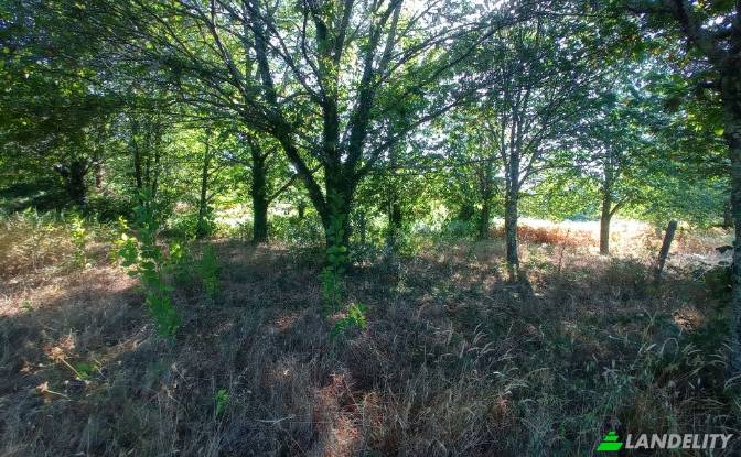 Single Family Home for Sale Do Eiro. Photo#6 Single Family Home for Sale Do Eiro. Photo#6