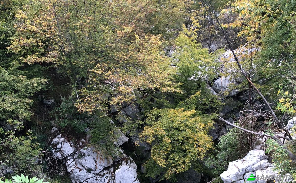 Land Lot for Sale E762, Strasevina, Niksic Municipality, Montenegro. Photo 2