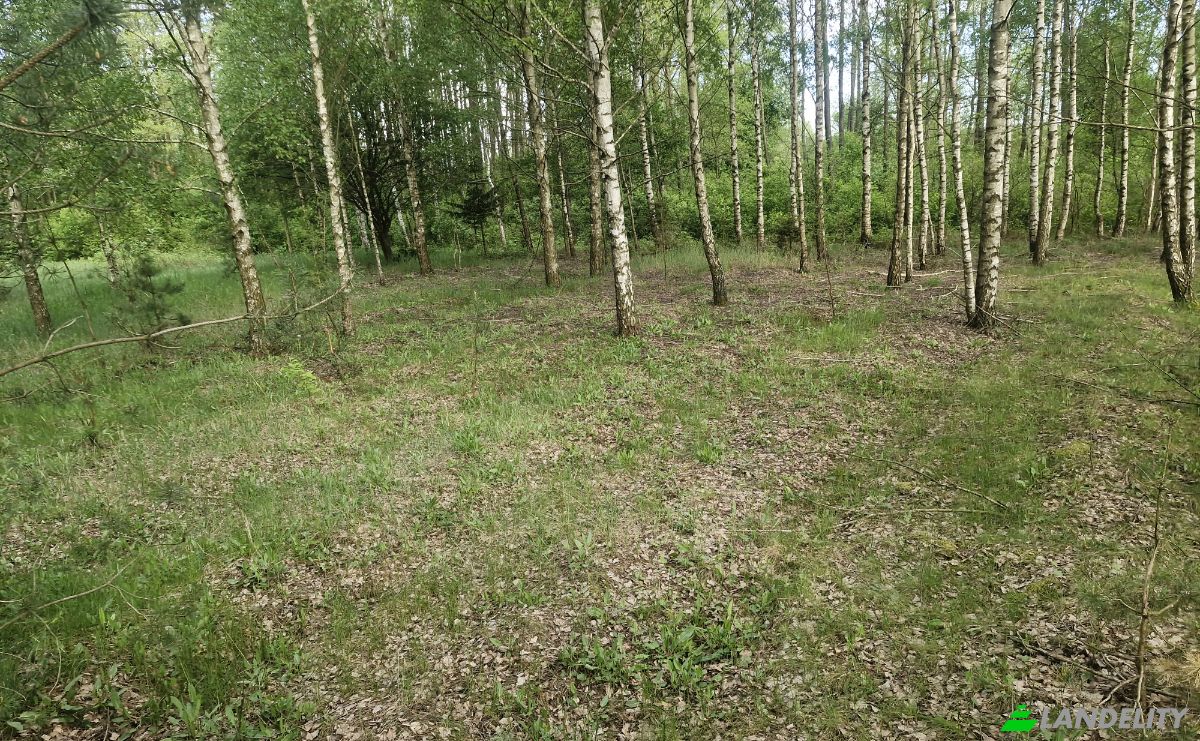 Land Lot for Sale Droga Bez Nazwy, 16-002 PogorzaLki, Rybaki, BiaLystok County, Podlaskie Voivodeship, Poland. Photo 10