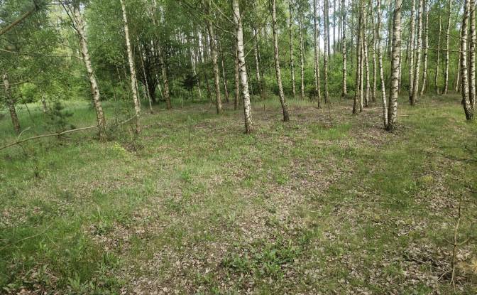Land Lot for Sale Droga Bez Nazwy. Photo#10 Land Lot for Sale Droga Bez Nazwy. Photo#10