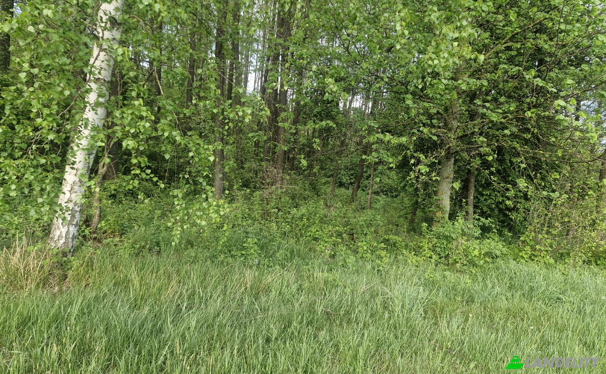 Land Lot for Sale Droga Bez Nazwy, 16-002 PogorzaLki, Rybaki, BiaLystok County, Podlaskie Voivodeship, Poland. Photo 11