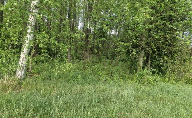 Land Lot for Sale Droga Bez Nazwy. Photo#11 Land Lot for Sale Droga Bez Nazwy. Photo#11