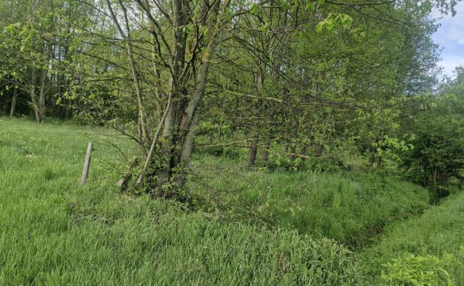 Land Lot for Sale Droga Bez Nazwy. Photo#12 Land Lot for Sale Droga Bez Nazwy. Photo#12