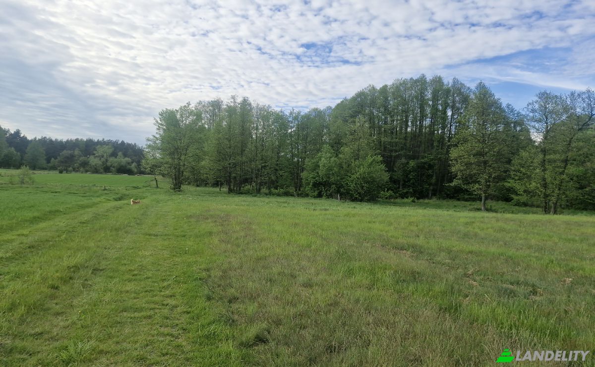 Land Lot for Sale Droga Bez Nazwy, 16-002 PogorzaLki, Rybaki, BiaLystok County, Podlaskie Voivodeship, Poland. Photo 13