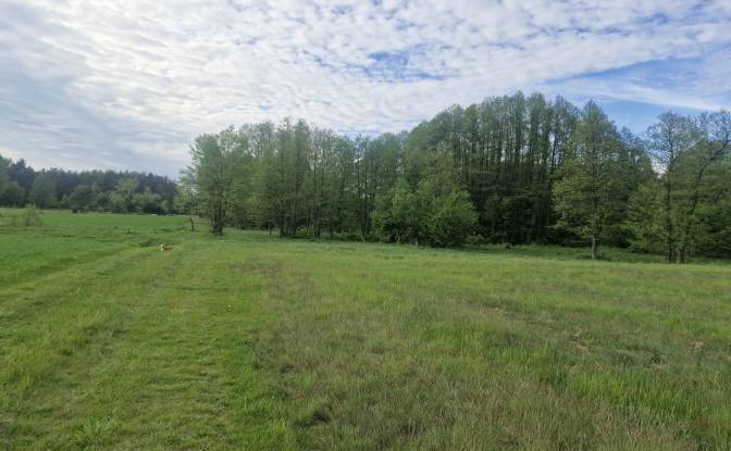 Land Lot for Sale Droga Bez Nazwy. Photo#13 Land Lot for Sale Droga Bez Nazwy. Photo#13