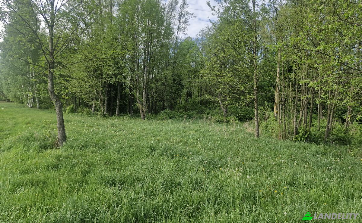 Land Lot for Sale Droga Bez Nazwy, 16-002 PogorzaLki, Rybaki, BiaLystok County, Podlaskie Voivodeship, Poland. Photo 14