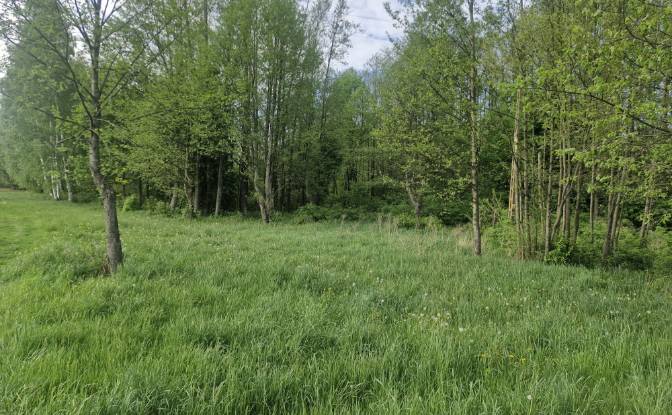 Land Lot for Sale Droga Bez Nazwy. Photo#14 Land Lot for Sale Droga Bez Nazwy. Photo#14