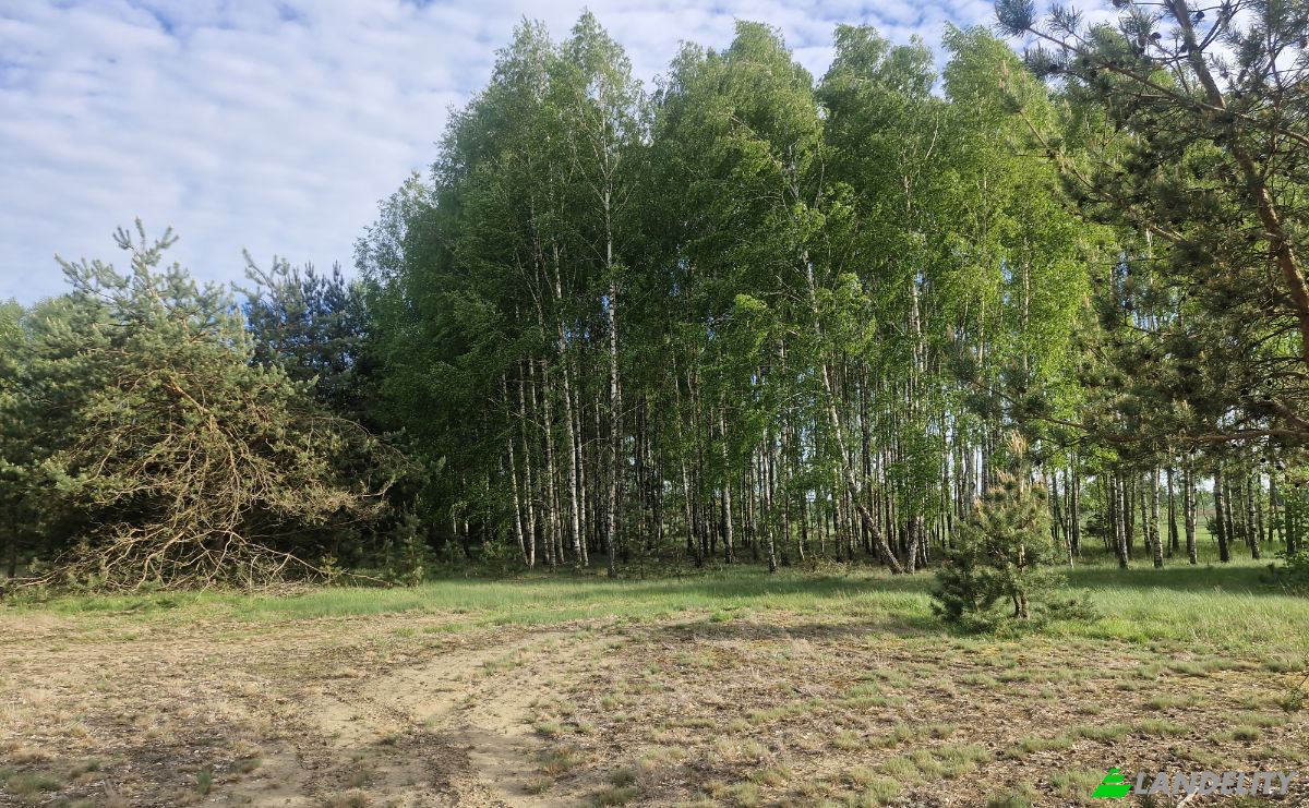 Land Lot for Sale Droga Bez Nazwy, 16-002 PogorzaLki, Rybaki, BiaLystok County, Podlaskie Voivodeship, Poland. Photo 2