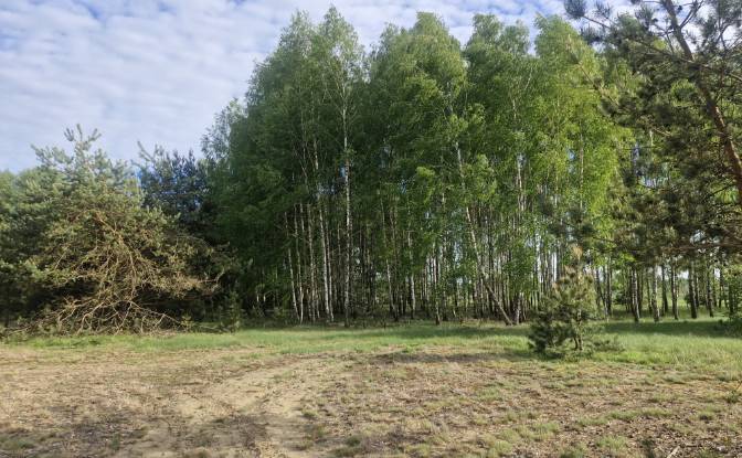 Land Lot for Sale Droga Bez Nazwy. Photo#2 Land Lot for Sale Droga Bez Nazwy. Photo#2