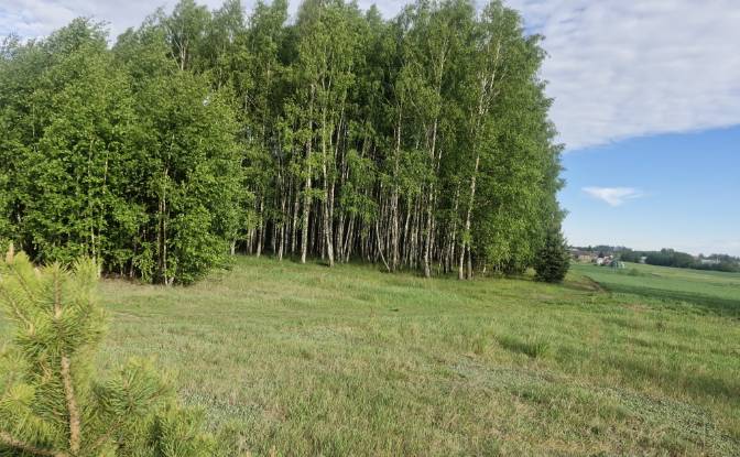 Land Lot for Sale Droga Bez Nazwy. Photo#3 Land Lot for Sale Droga Bez Nazwy. Photo#3